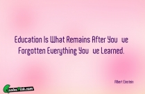 Education Is What Remains After Quote