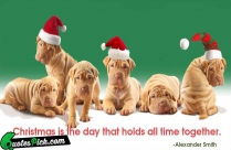 Christmas Is The Day Quote