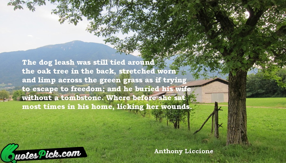 The Dog Leash Was Still Tied Quote by Anthony Liccione