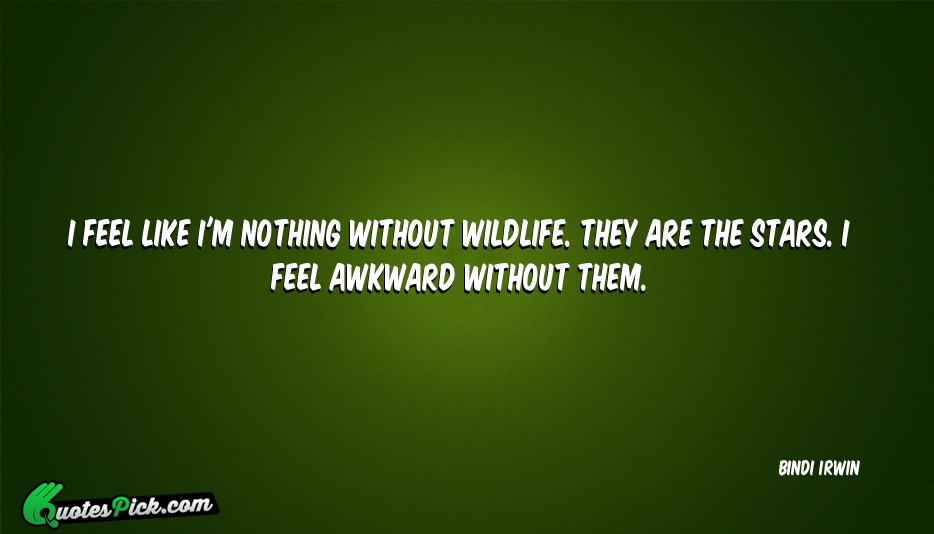 stars Quotes