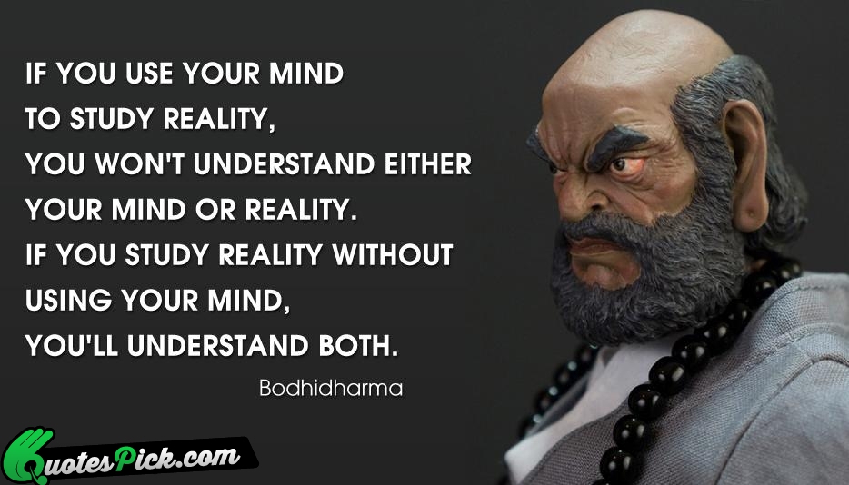 If You Use Your Mind To Quote by Bodhidharma