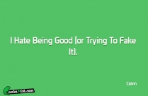 I Hate Being Good Or