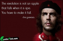The Revolution Is Not An Quote