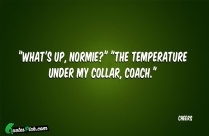 Whats Up Normie The Temperature Quote
