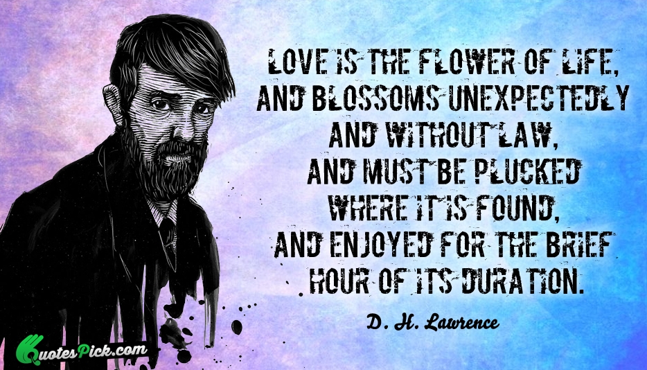 Love Is The Flower Of Life  Quote by D H Lawrence