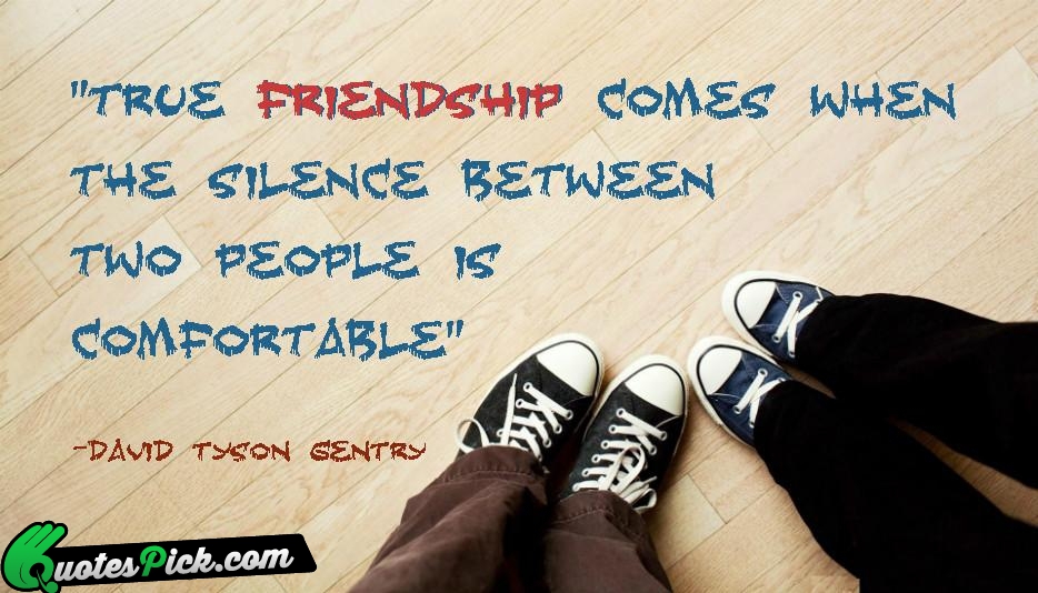 True Friendship Comes When The Silence Quote by David Tyson Gentry