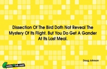 Dissection Of The Bird Doth Quote