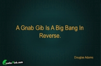 A Gnab Gib Is A Quote