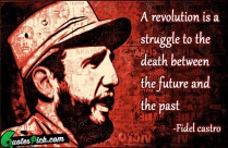 A Revolution Is A Struggle Quote