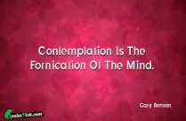 Contemplation Is The Fornication Of