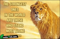 The Strongest Ones In The