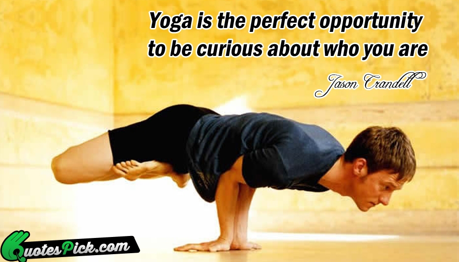 Yoga Is The Perfect Opportunity To Quote by Jason Crandell