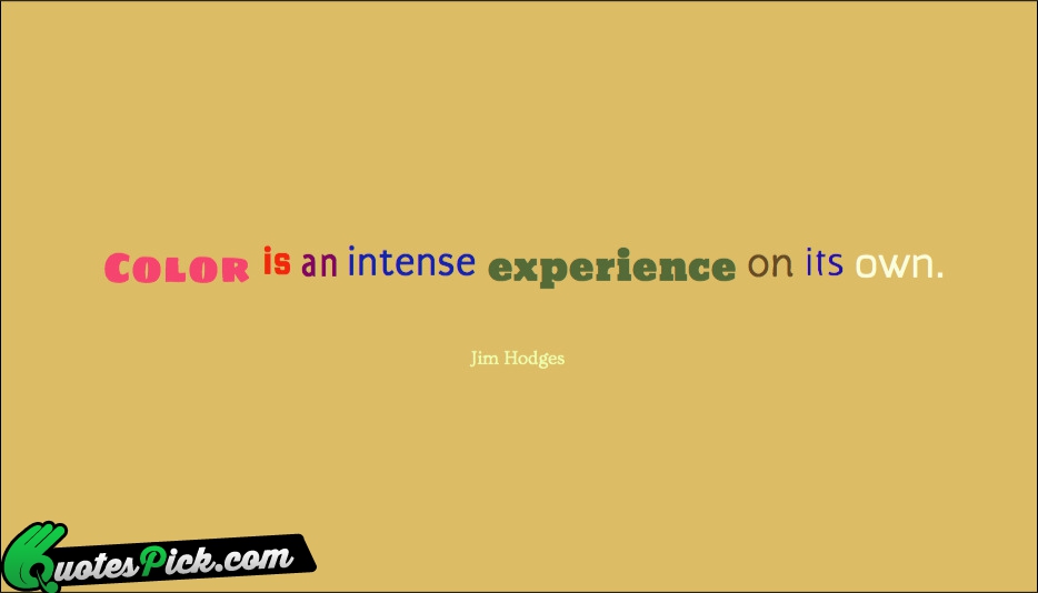 Color Is An Intense Experience On Quote by Jim Hodges