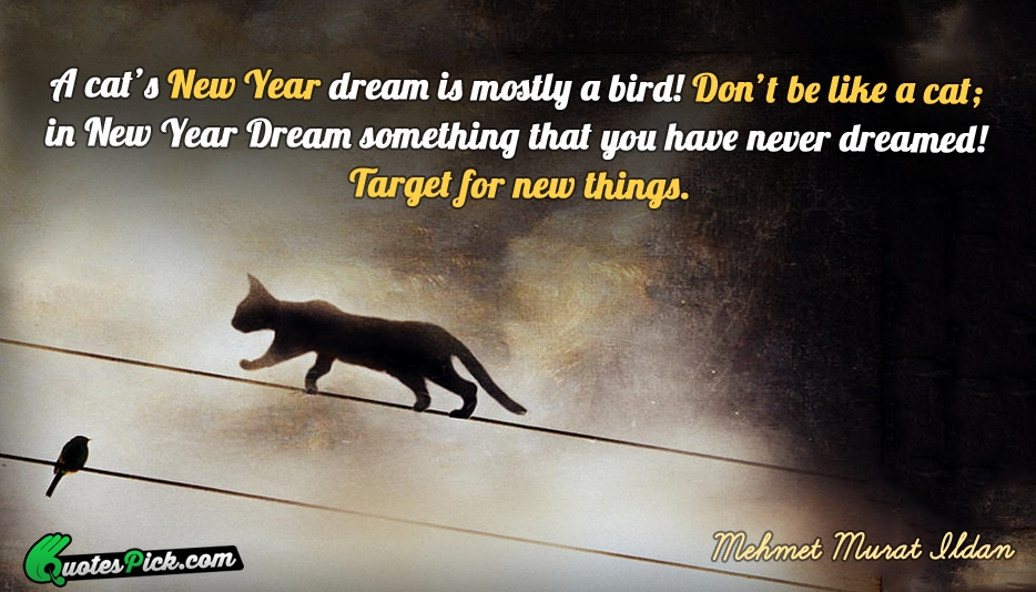 A Cats New Year Dream Is Quote by Mehmet Murat Ildan