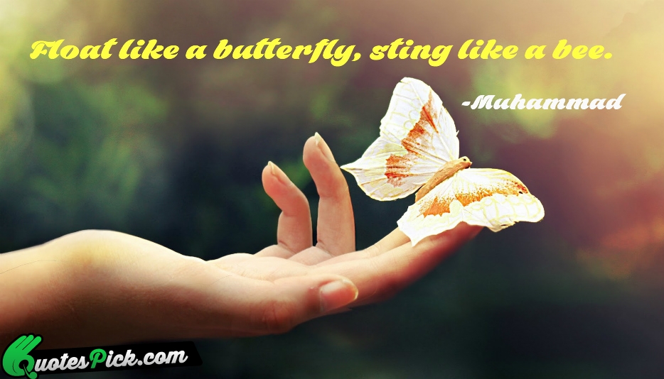 Float Like A Butterfly Sting Like Quote by Muhammad Ali