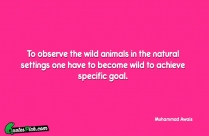 To Observe The Wild Animals