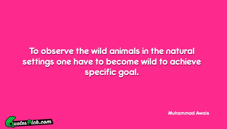 To Observe The Wild Animals In Quote by Muhammad Awais