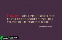 Flowers Are A Proud Assertion Quote