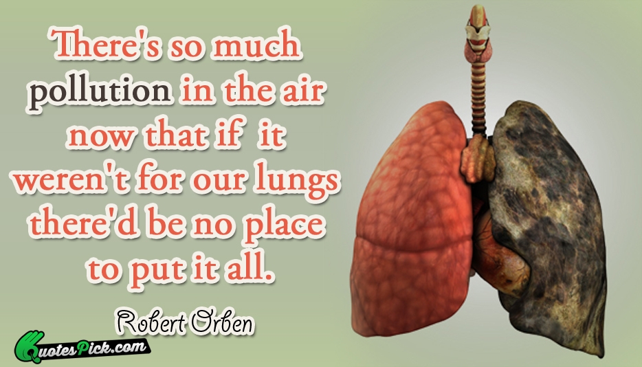 Lungs Quotes