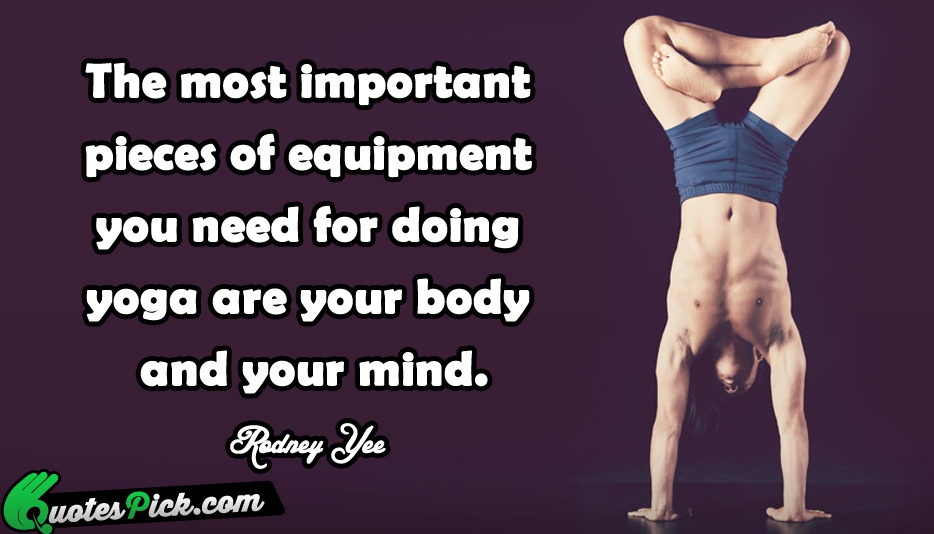 The Most Important Pieces Of Equipment Quote by Rodne Yee