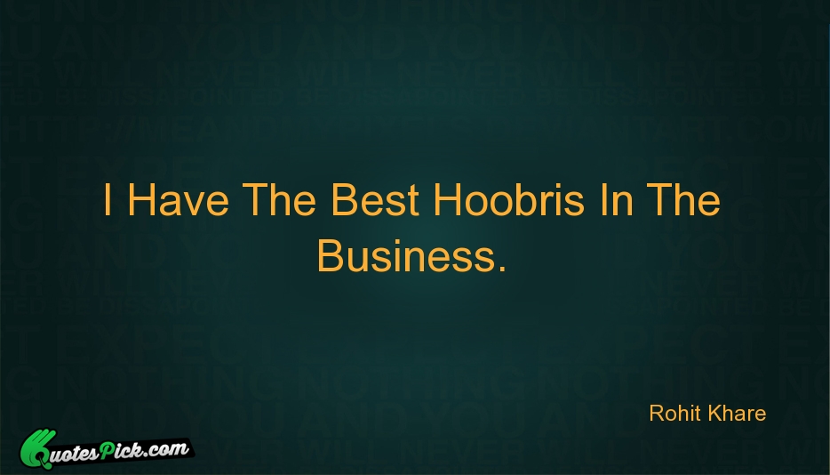 I Have The Best Hoobris In Quote by Rohit Khare