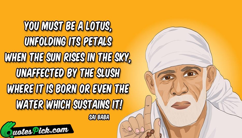Lotus Quotes