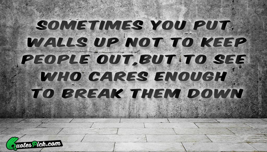 Sometimes You Put Walls Up Not Quote by Socrates