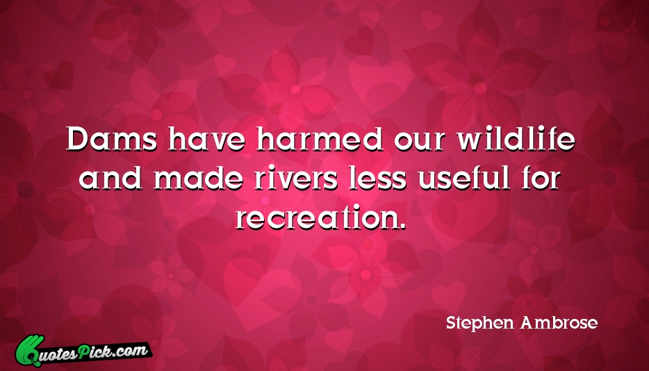 Dams Have Harmed Our Wildlife And Quote by Stephen Ambrose