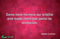 Dams Have Harmed Our Wildlife Quote