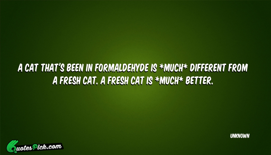 A Cat Thats Been In Formaldehyde Quote by UNKNOWN