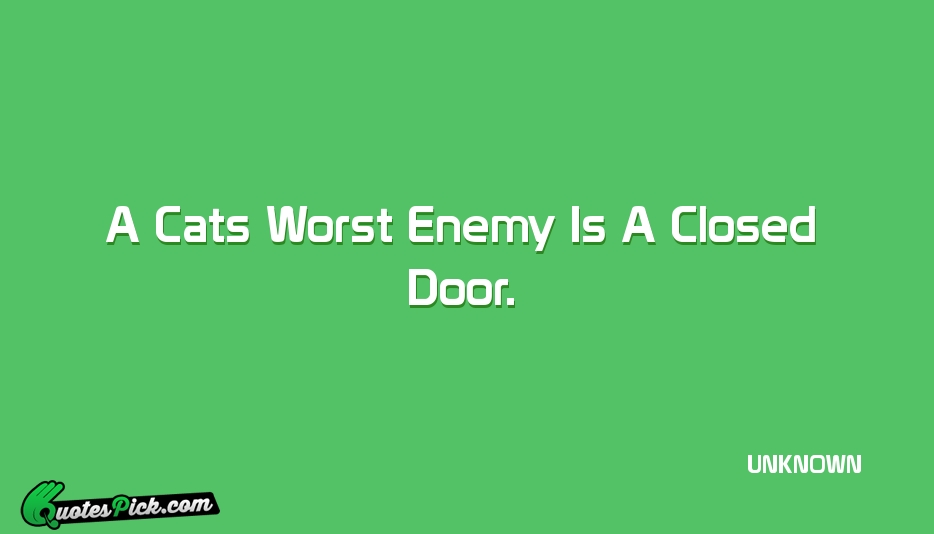 A Cats Worst Enemy Is A Quote by UNKNOWN