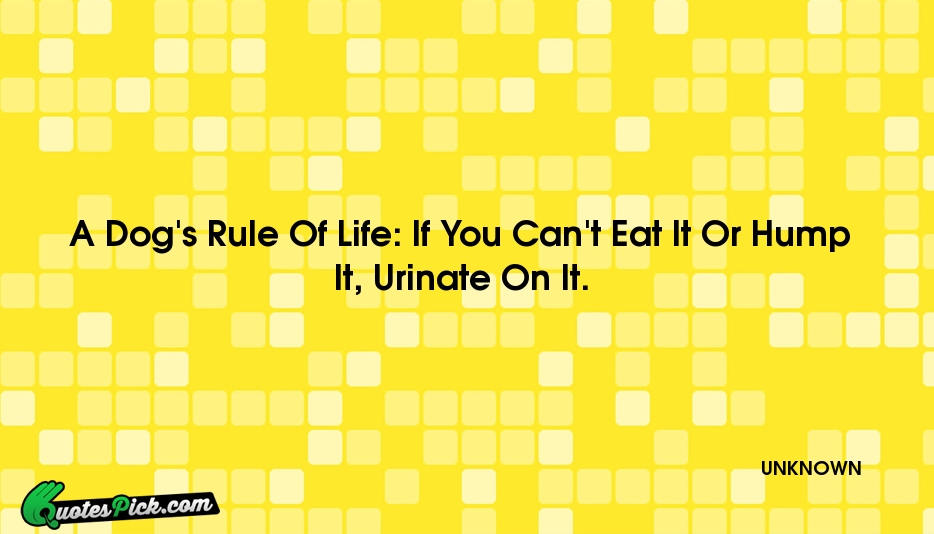 Rule Of Life Quotes
