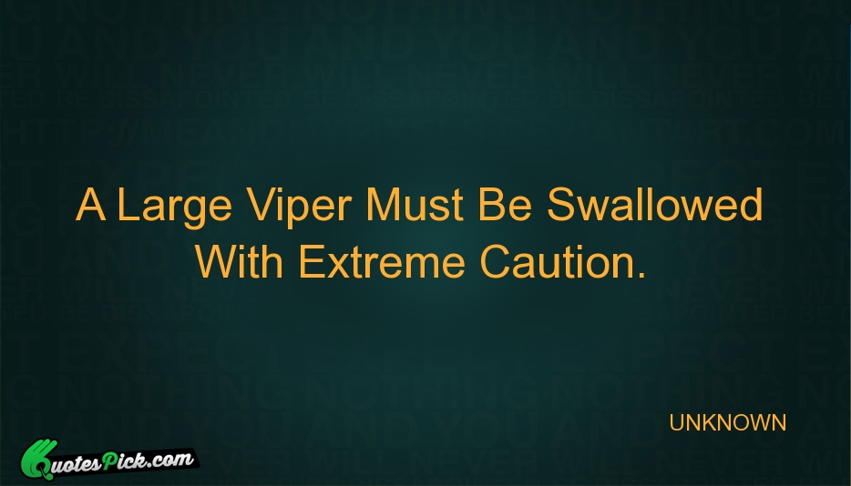 A Large Viper Must Be Swallowed Quote by UNKNOWN