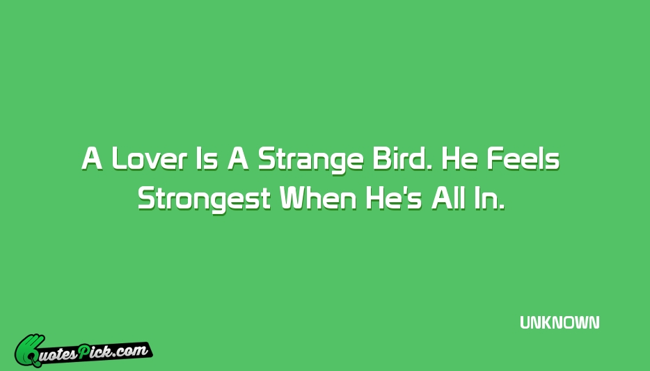 A Lover Is A Strange Bird Quote by UNKNOWN