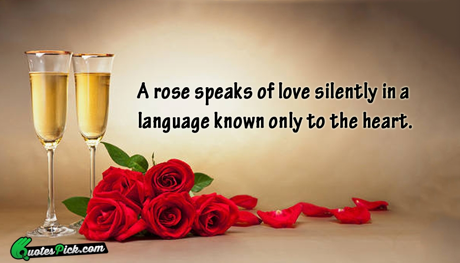 A Rose Speaks Of Love Silently Quote by Unknown