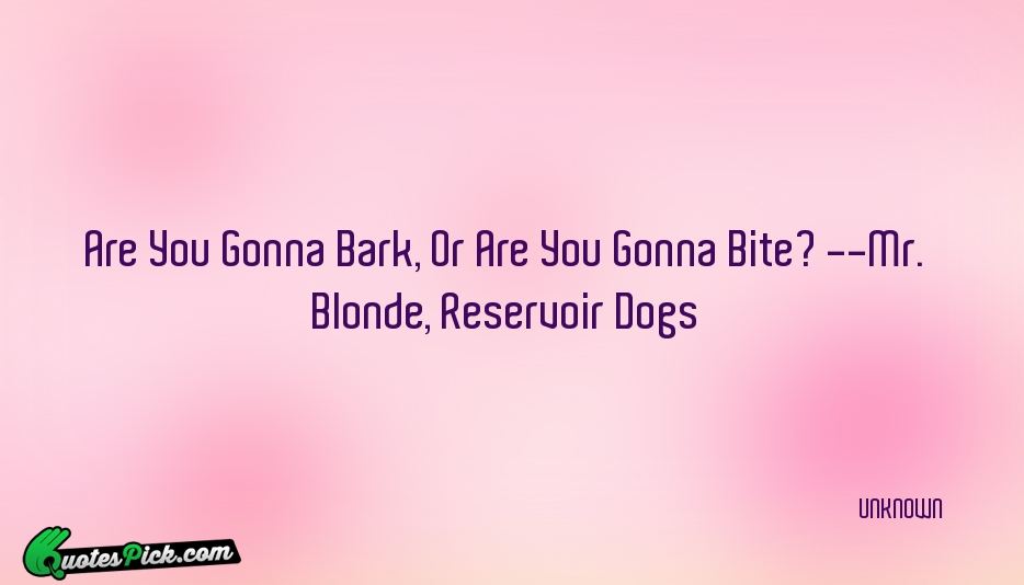 Are You Gonna Bark Or Are Quote by UNKNOWN