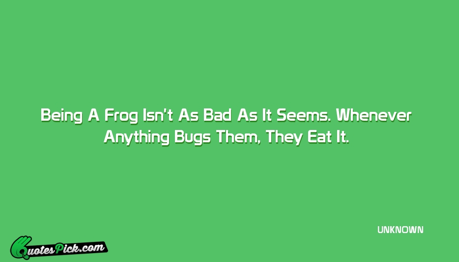 Being A Frog Isnt As Bad Quote by UNKNOWN