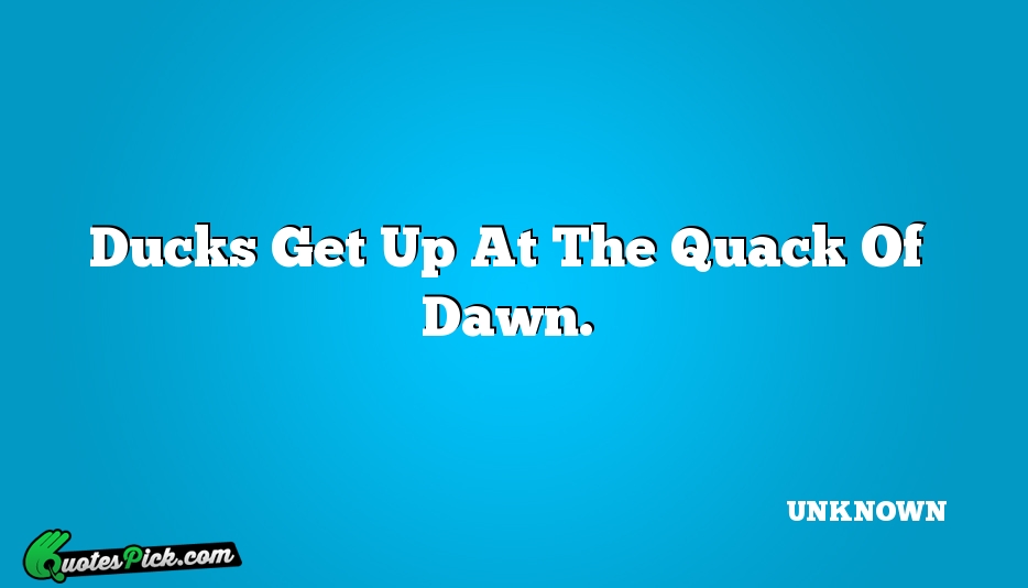 Ducks Get Up At The Quack Quote by UNKNOWN