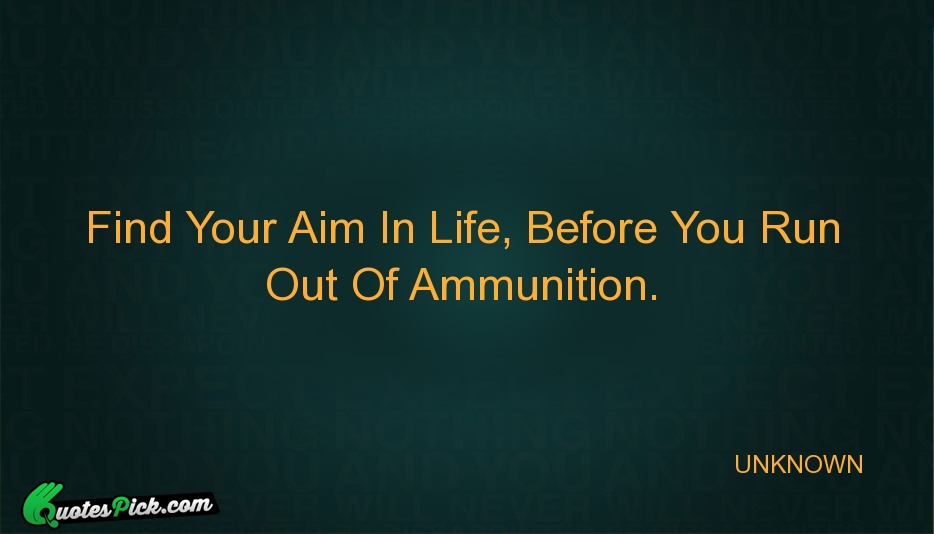 Find Your Aim In Life Before Quote by UNKNOWN
