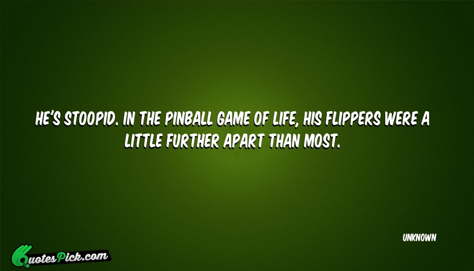 Hes Stoopid In The Pinball Game Quote by UNKNOWN