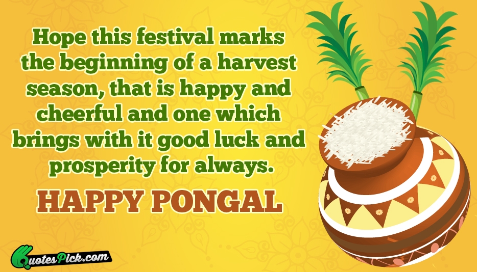 Hope This Festival Marks The Beginning Quote by Unknown