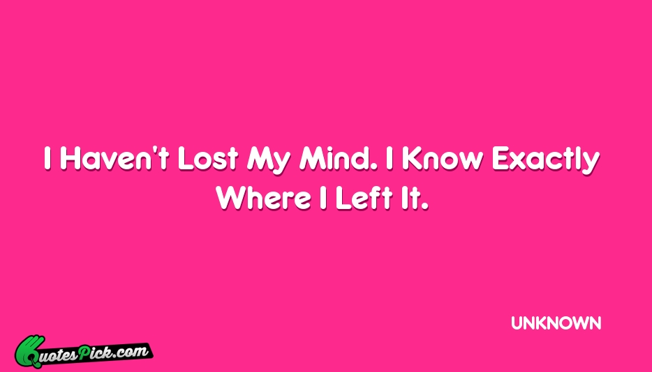 I Havent Lost My Mind I Quote by UNKNOWN