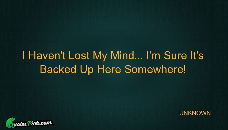 I Havent Lost My Mind Im Quote by UNKNOWN