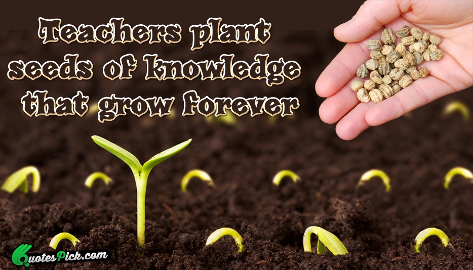Teachers Plant Seeds Of Knowledge That Quote by Unknown