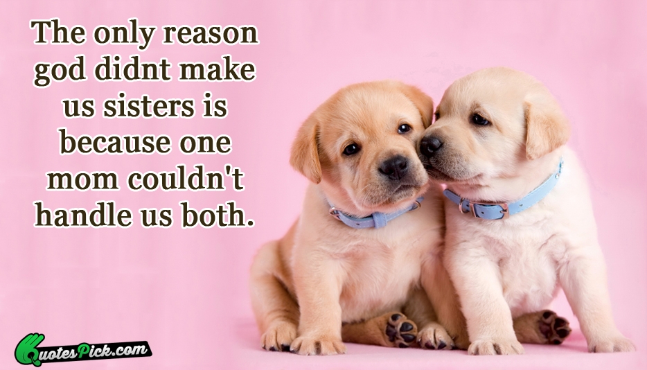 The Only Reason God Didnt Make Quote by Unknown