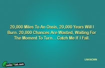 20000 Miles To An Oasis Quote