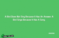 A Bird Does Not Sing Quote