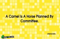 A Camel Is A Horse