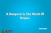 A Hangover Is The Wrath Quote