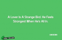 A Lover Is A Strange Quote